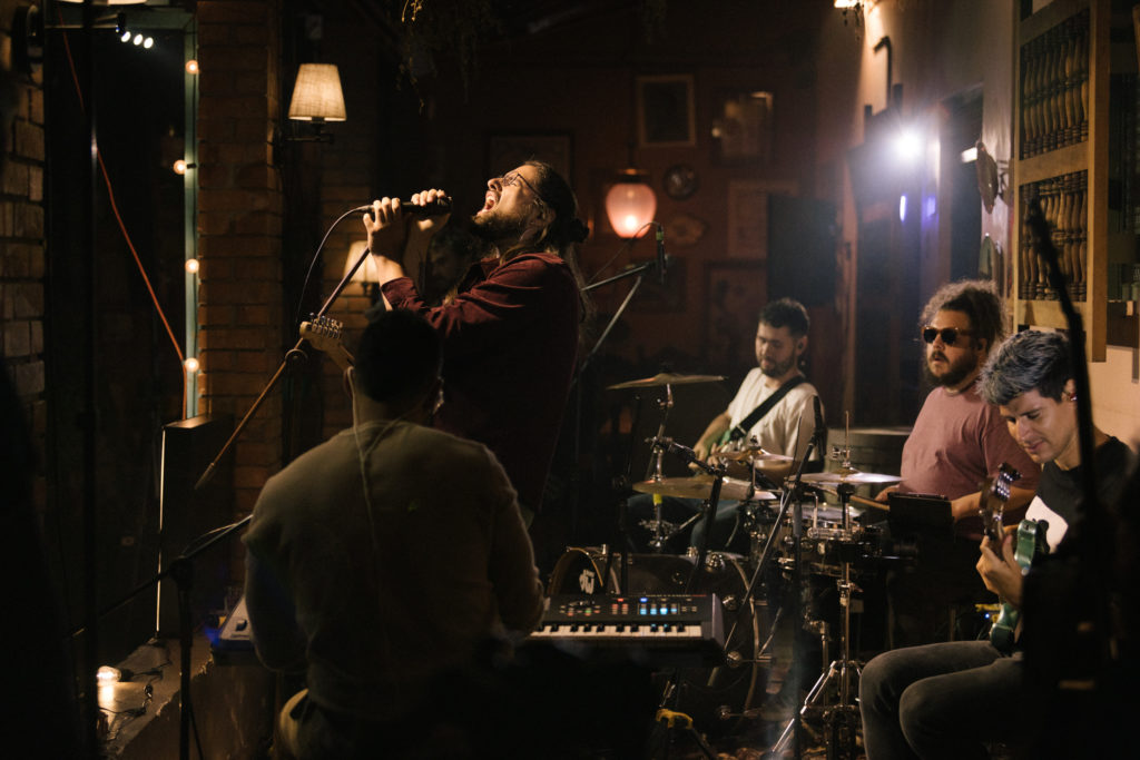 medest lacomadreja 35