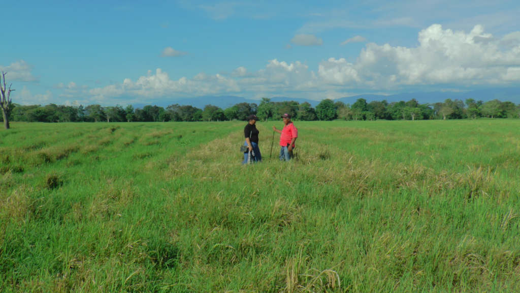 Copia de 15740003 1 1