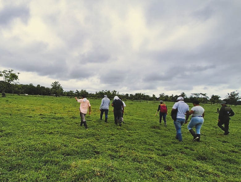 ¿Las víctimas del conflicto pueden retornar al Oriente? 70 % de las más de 6 800 solicitudes de restitución de tierras no han sido resueltas